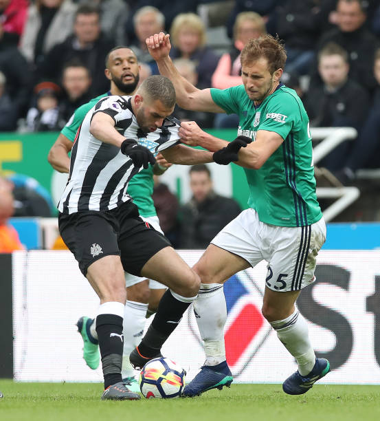 也是一所培 也是一所培